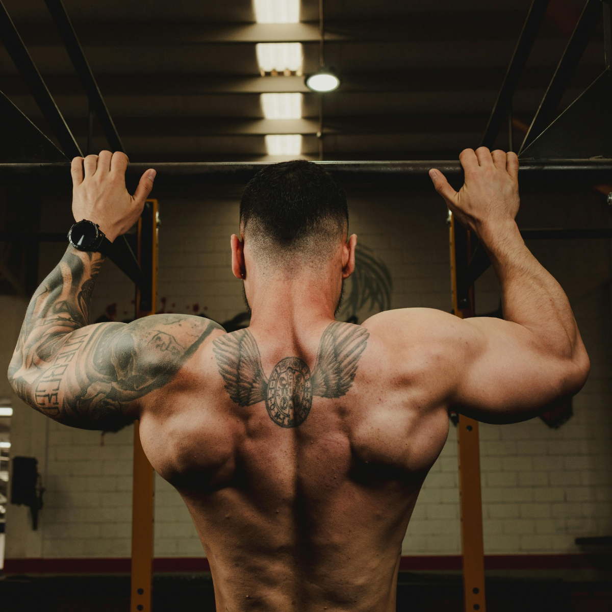 Iso 100 3lb